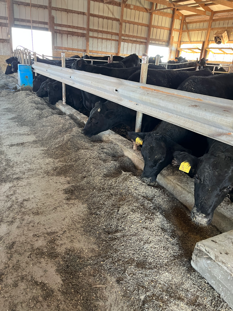 Individual Beef Cuts