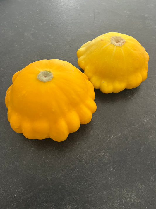 Small Pattypan Summer Squash