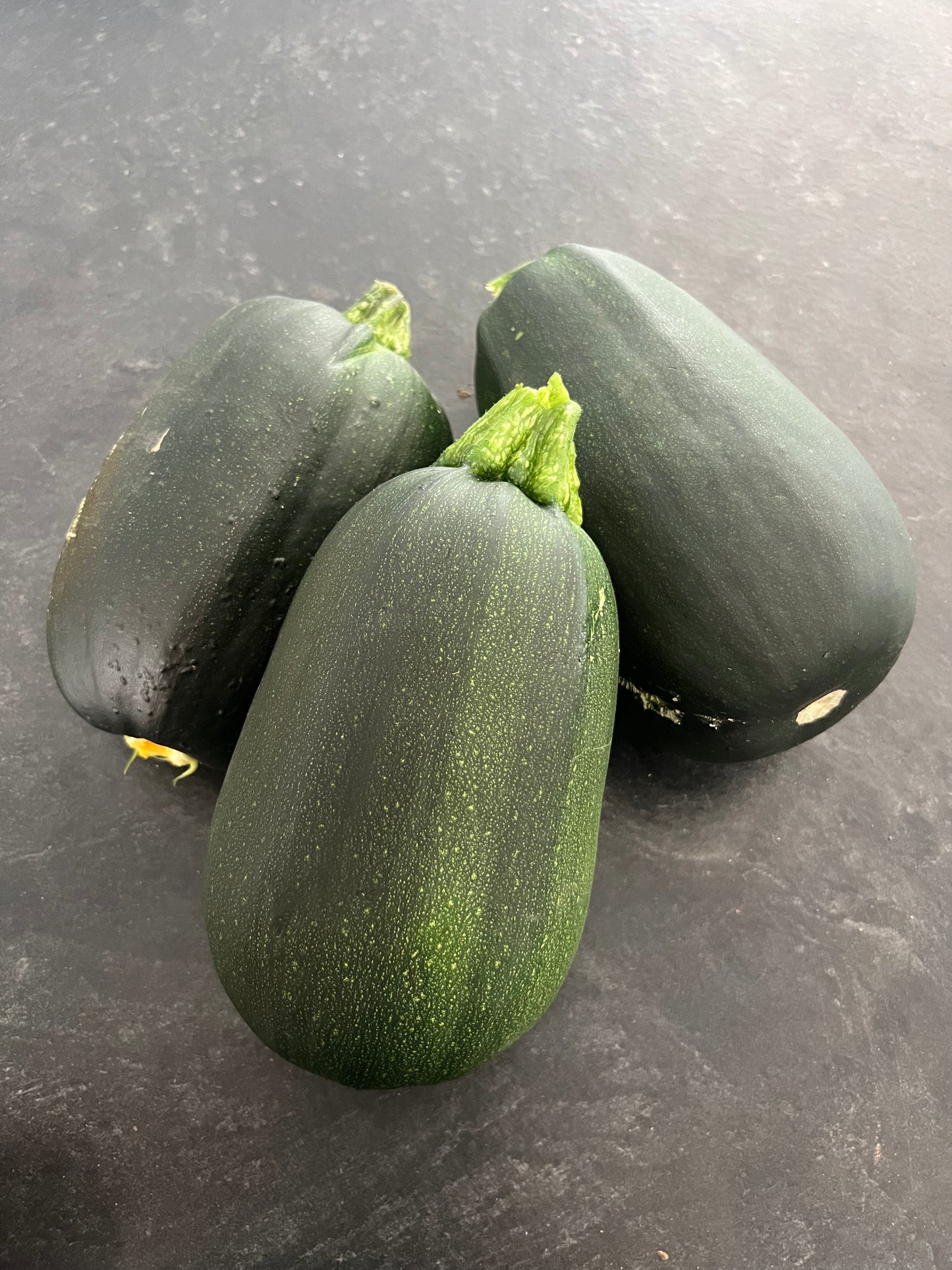 Large Summer Squash