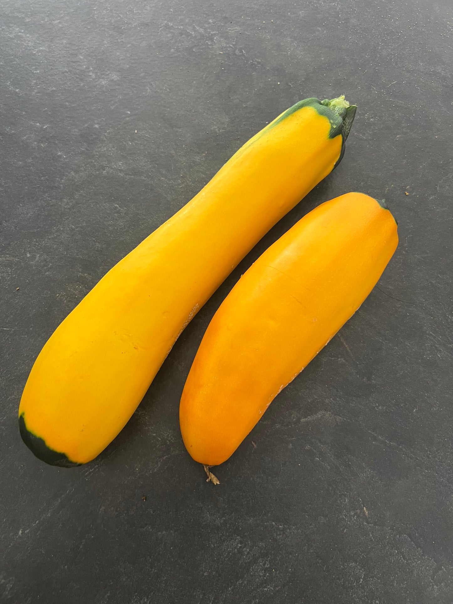 Large Summer Squash